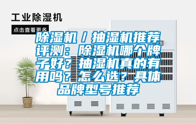 除濕機／抽濕機推薦評測：除濕機哪個牌子好？抽濕機真的有用嗎？怎么選？具體品牌型號推薦