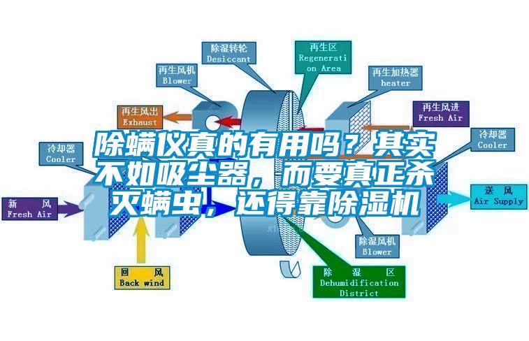 除螨儀真的有用嗎？其實(shí)不如吸塵器，而要真正殺滅螨蟲(chóng)，還得靠除濕機(jī)